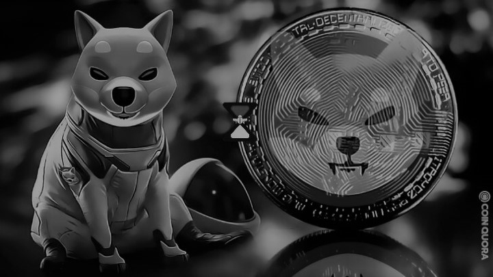 Shiba Inu Adopts Tech to Bring More Privacy to SHIB Token Holders